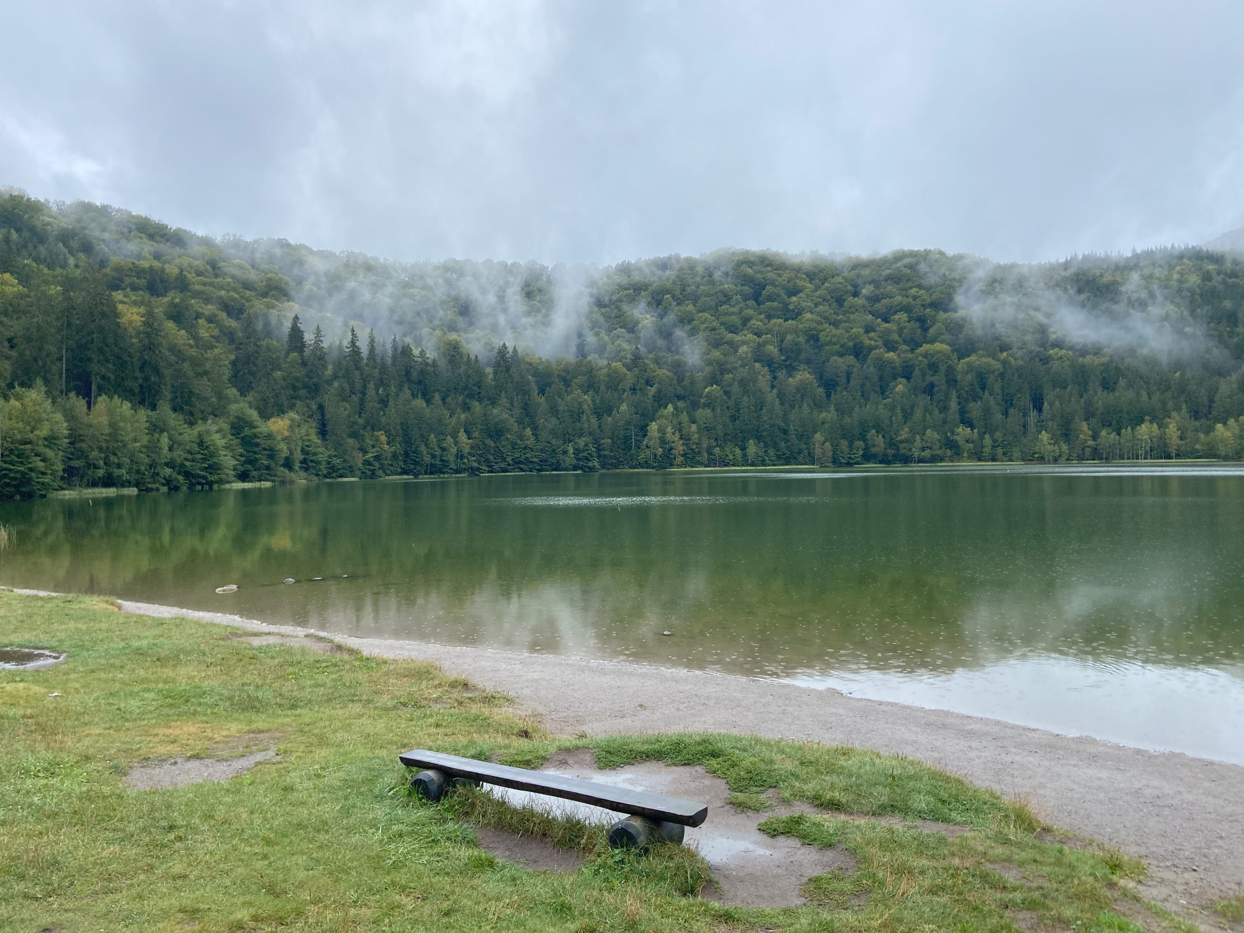 Waiting for the Mist